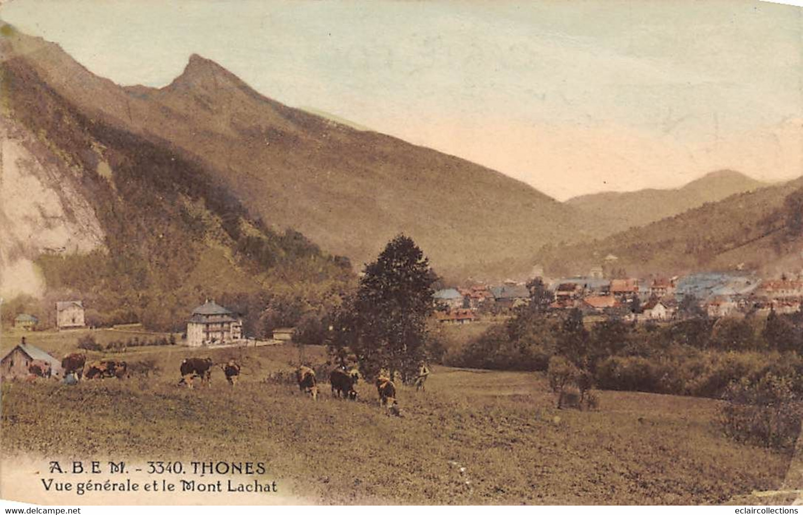 Thônes        74         Vue Générale Et Le Mont Lachat     N° 3340          (voir Scan) - Thônes