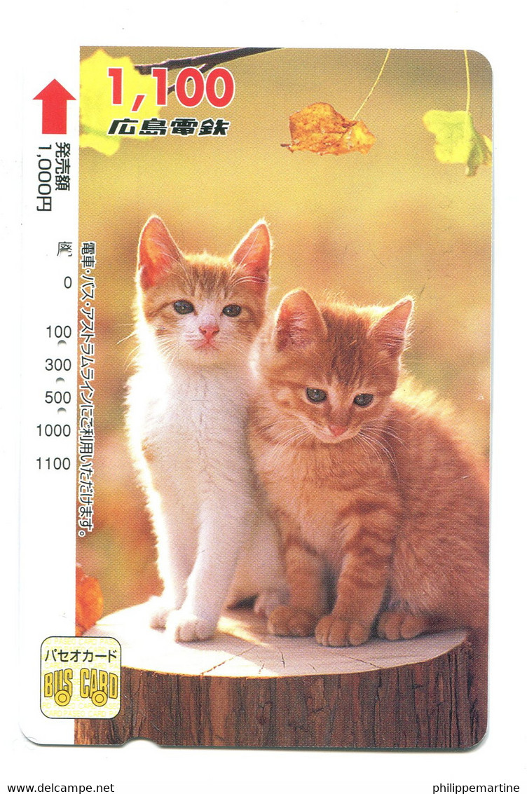 Titre De Transport Bus Card (Japon) : Chats - Mundo