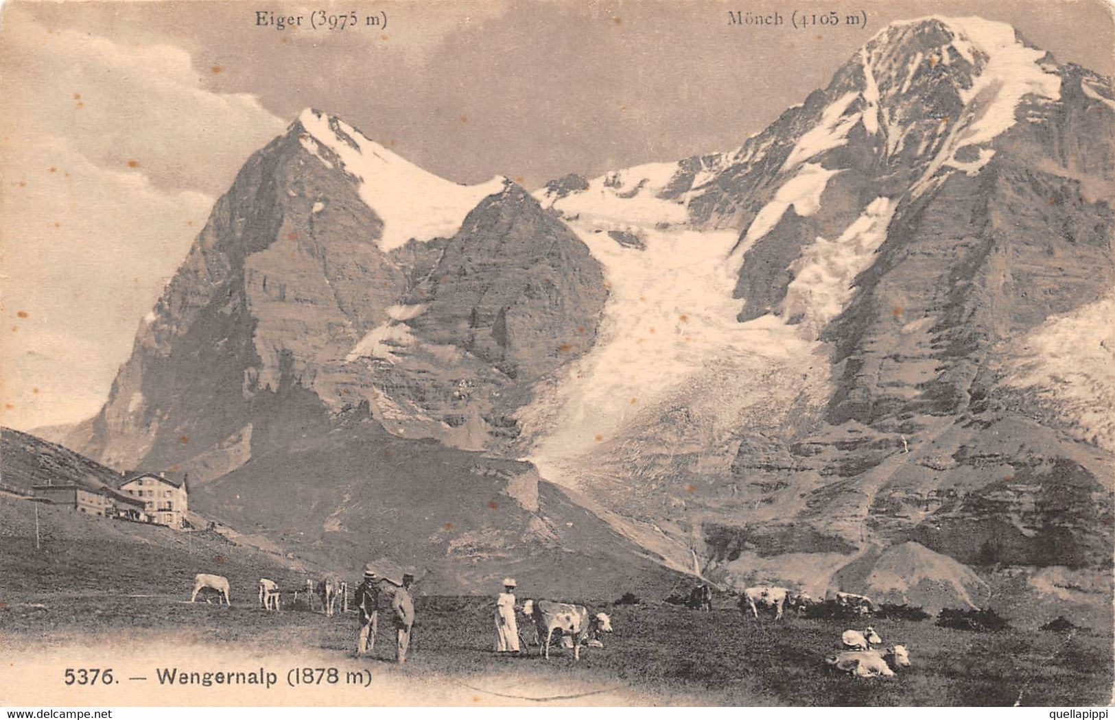 M012364 "WENGERNALP (1878 M.)" ANIMIERTE-KÜHE -VERA FOTO-CART NON SPED - Saint-Imier 