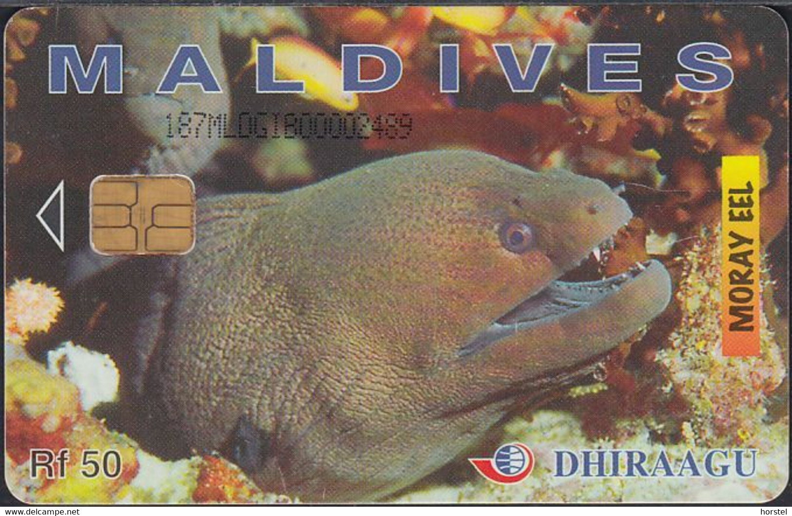 Maldiven - Chip -187MLD...  Moray Eel - RF50 - GPT1 - Number On Front - Maldives