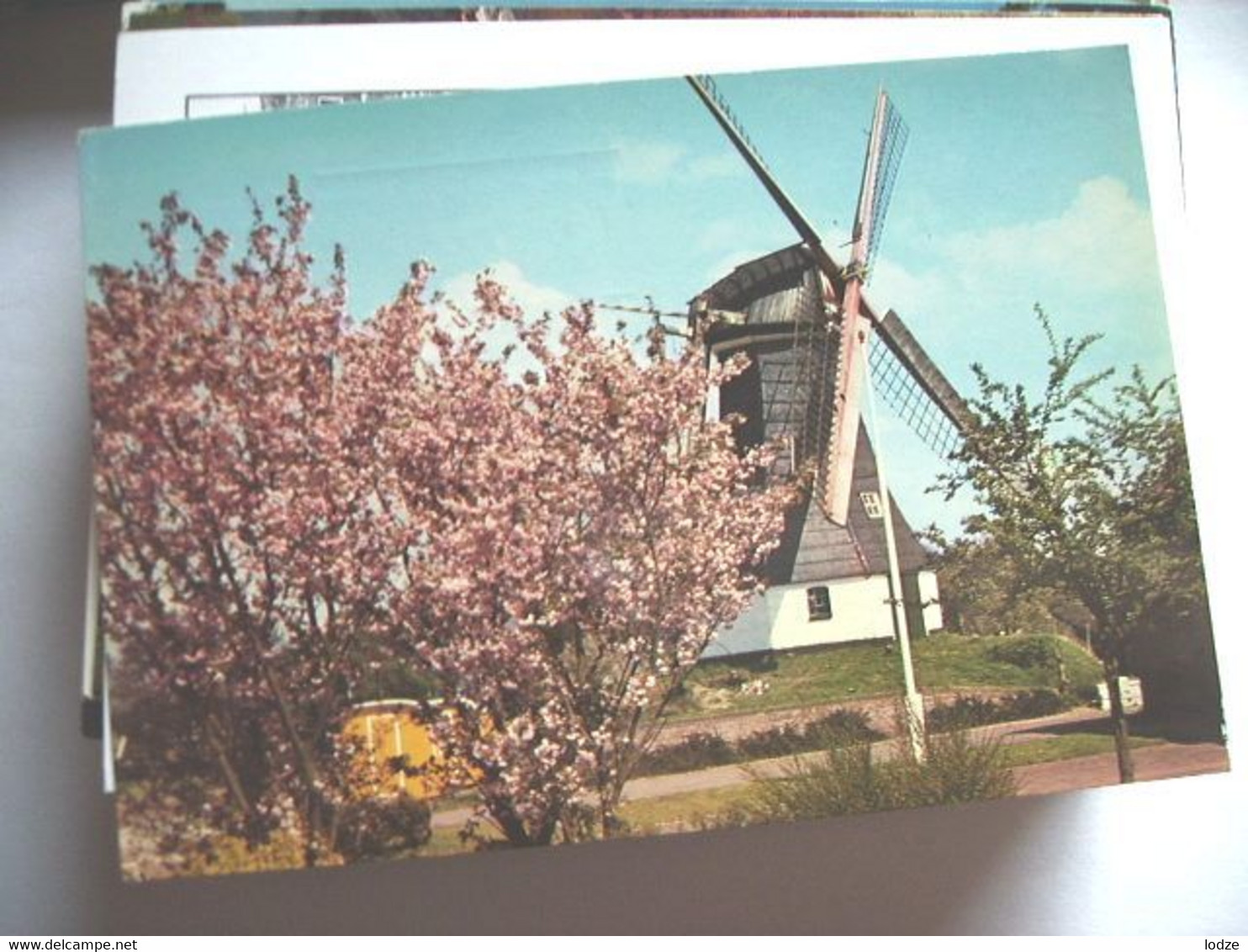 Nederland Holland Pays Bas Molen Moulin Mill Rolde - Rolde