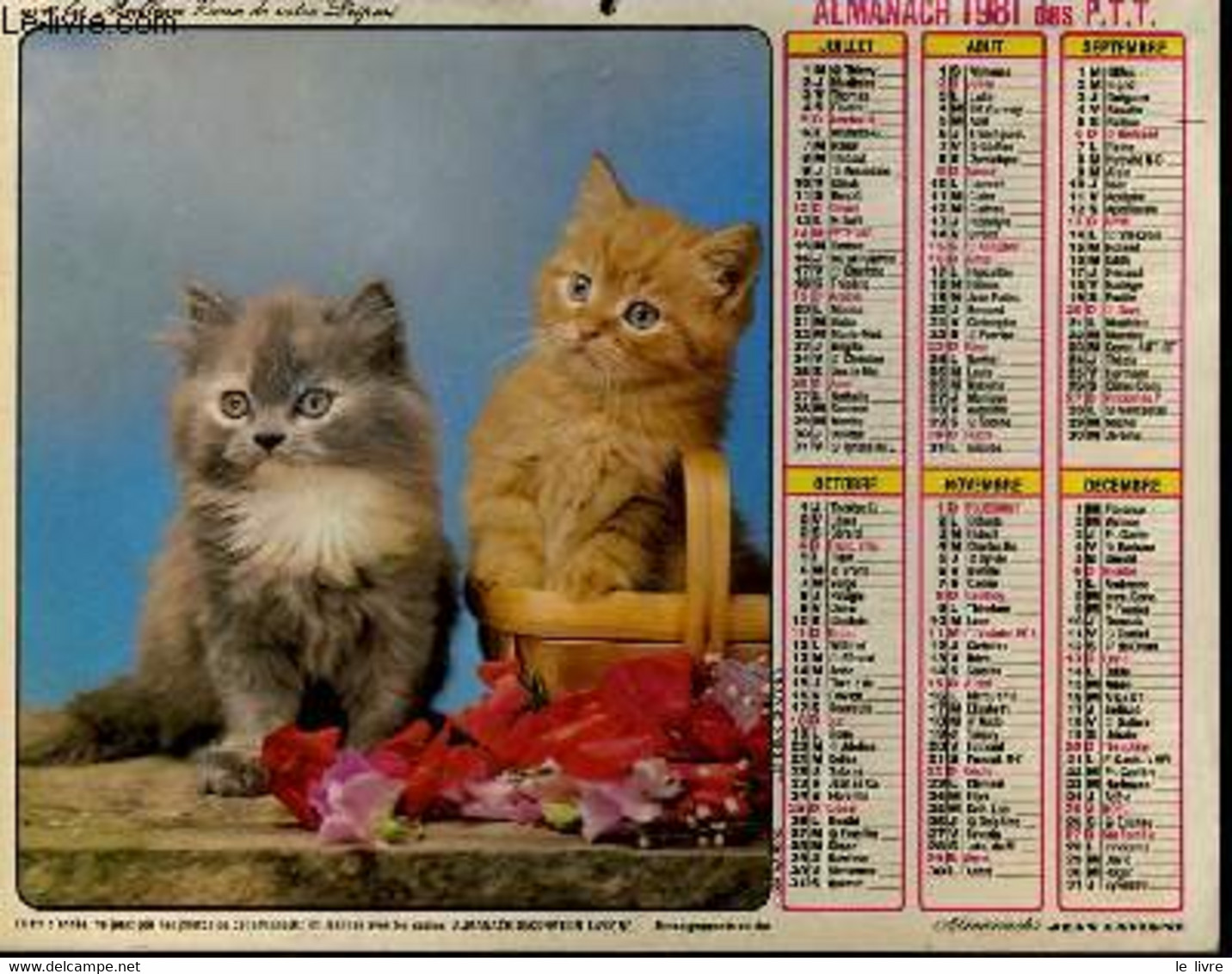 Calendrier chatons 2024 - cartonné - Collectif - Achat Livre