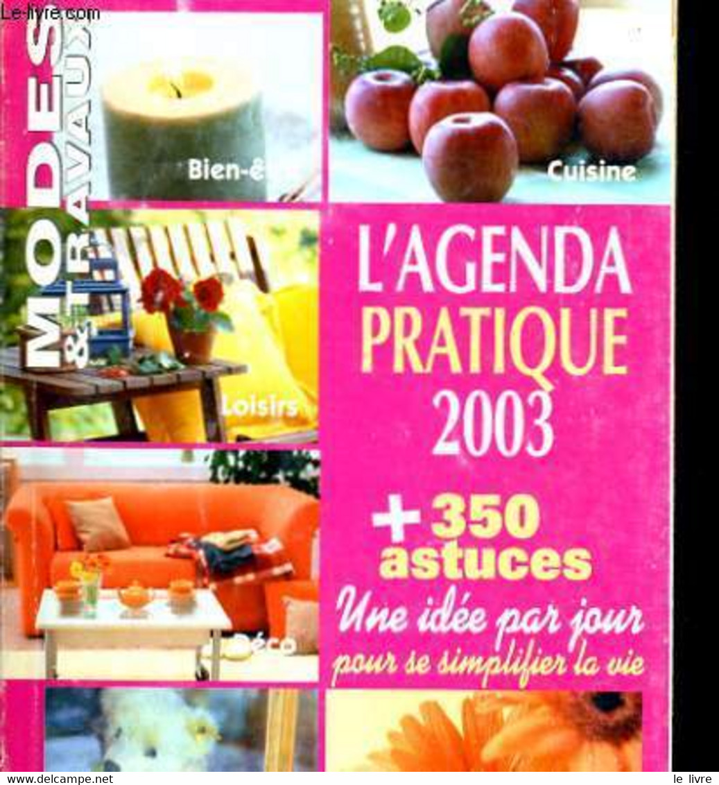 L'AGENDA PRATIQUE 2003 + 350 ASTUCES - COLLECTIF - 2003 - Terminkalender Leer