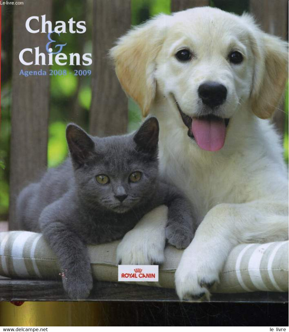 CHATS & CHENS AGENDA 2008-2009 - COLLECTIF - 2008 - Terminkalender Leer