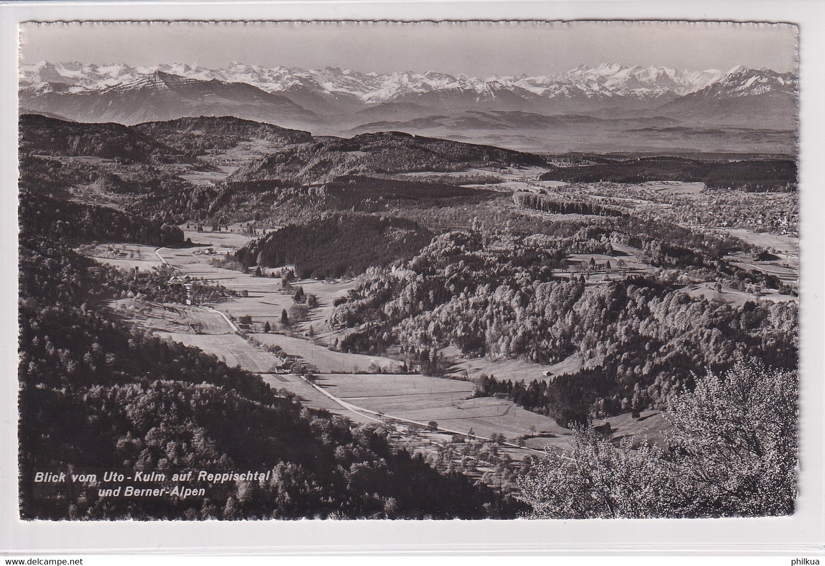 Blick Vom Uto-Kulm Auf Reppischtal Mit Berner Alpen - Gelaufen Ab Uetliberg - Laufen-Uhwiesen 