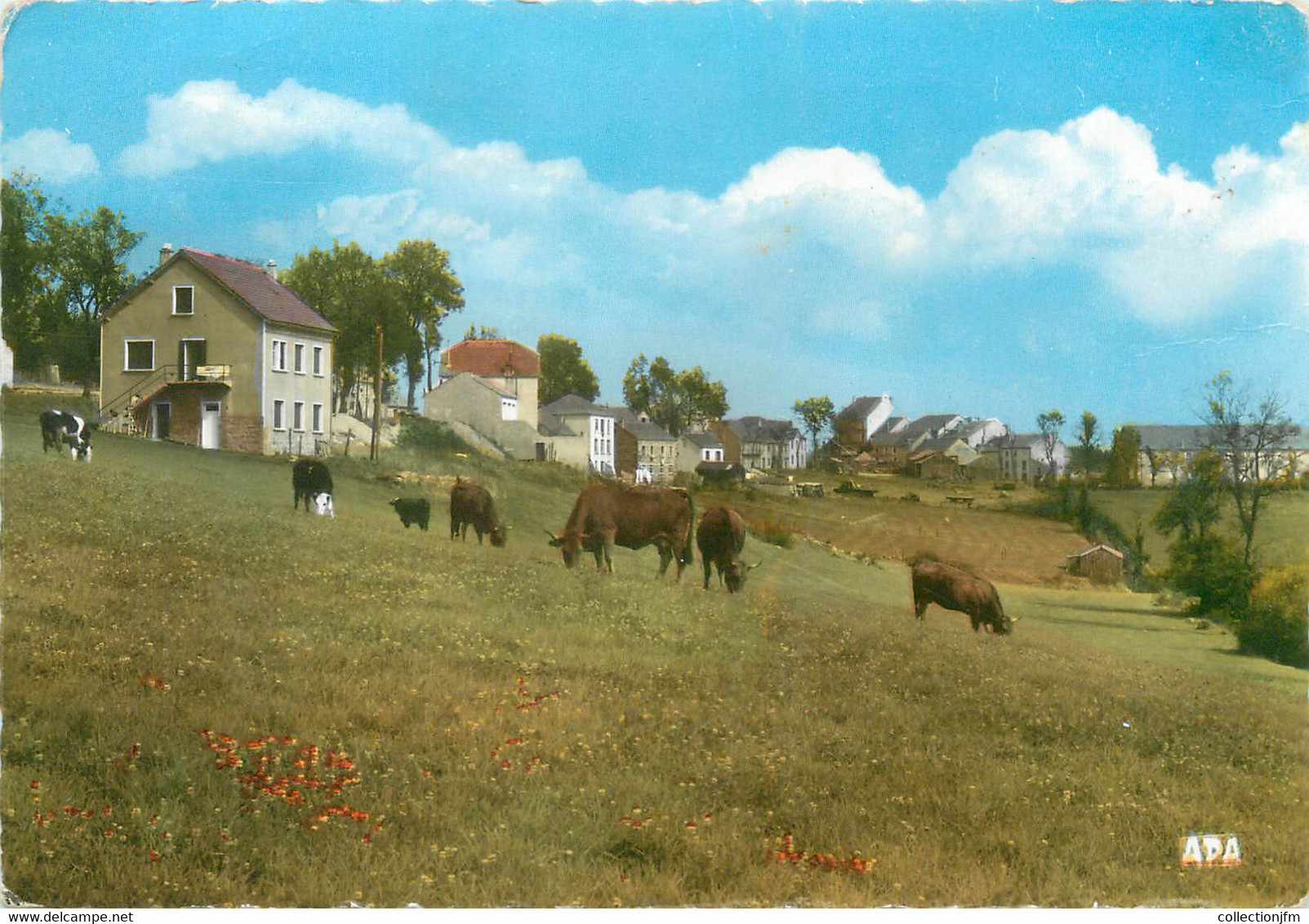 / CPSM FRANCE 48 "Grandrieu, Vue Générale" - Gandrieux Saint Amans