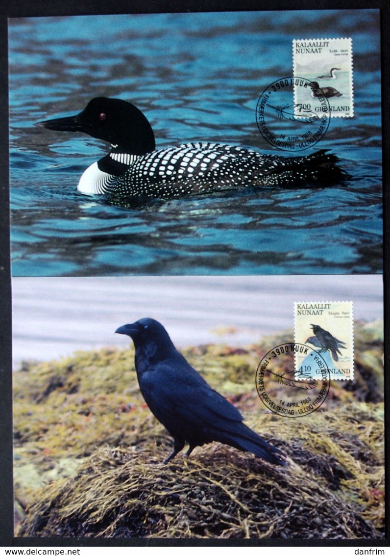 Greenland    1988 BIRDS   Minr.181-84  Maximum Cards  ( Lot 431 ) - Cartes-Maximum (CM)