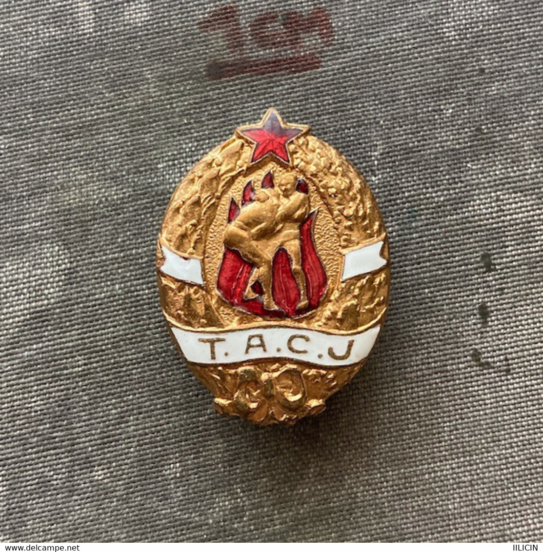 Badge Pin ZN010132 - Wrestling Athletics Federation Of Yugoslavia (Teskoatletski Savez Jugoslavije) TACJ (TASJ) - Ringen