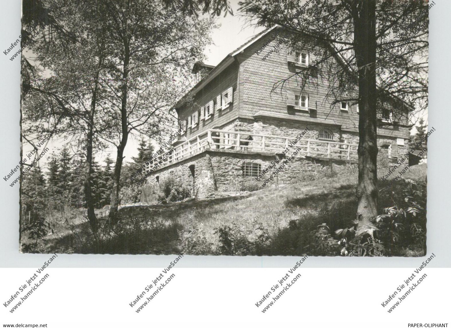 5960 OLPE - OBERHUNDEM, Sauerlandhütte, 1958 - Olpe