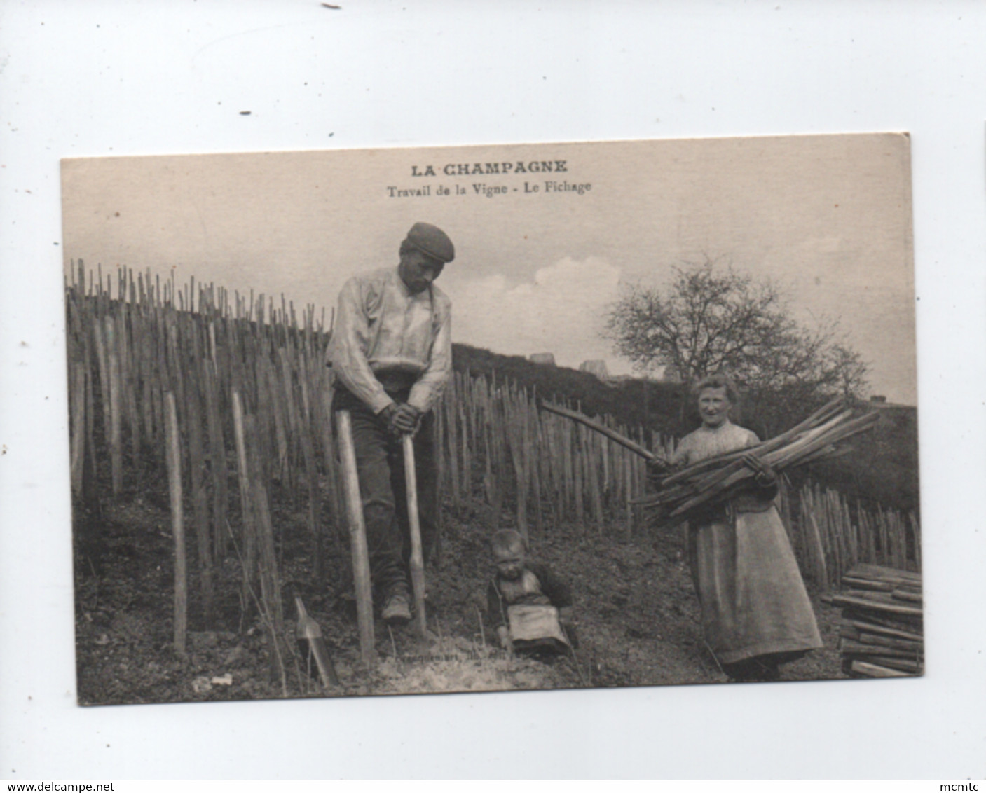 CPA -  La Champagne - Travail De La Vigne - Le Fichage - Champagne-Ardenne