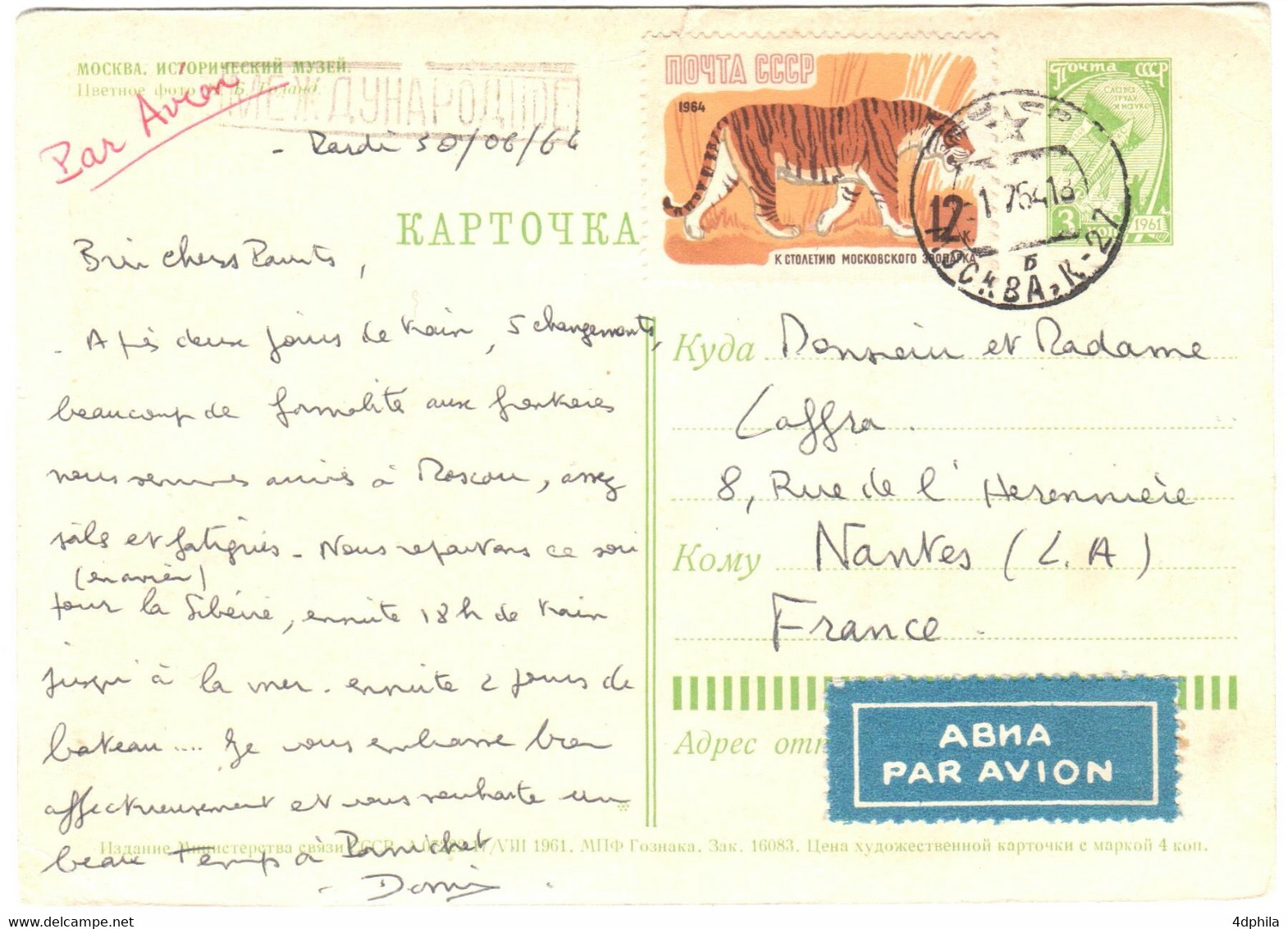 RUSSIA (USSR) 1960 Tiger - Dummy Stamp And Stamp On Card Of 1964 - Specimen Essay Proof Trial Prueba Probedruck Test - Proeven & Herdrukken