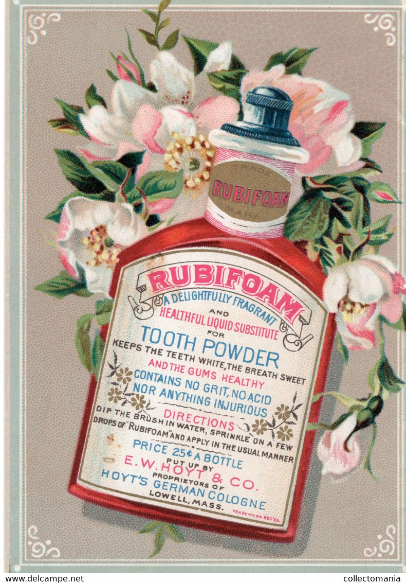 1 Carnet Booklet  The Teeth  E.W.Hoyt  & C° 1891 Rubifoam Tooth Powder Dentist Dentifrice - Oud (tot 1960)