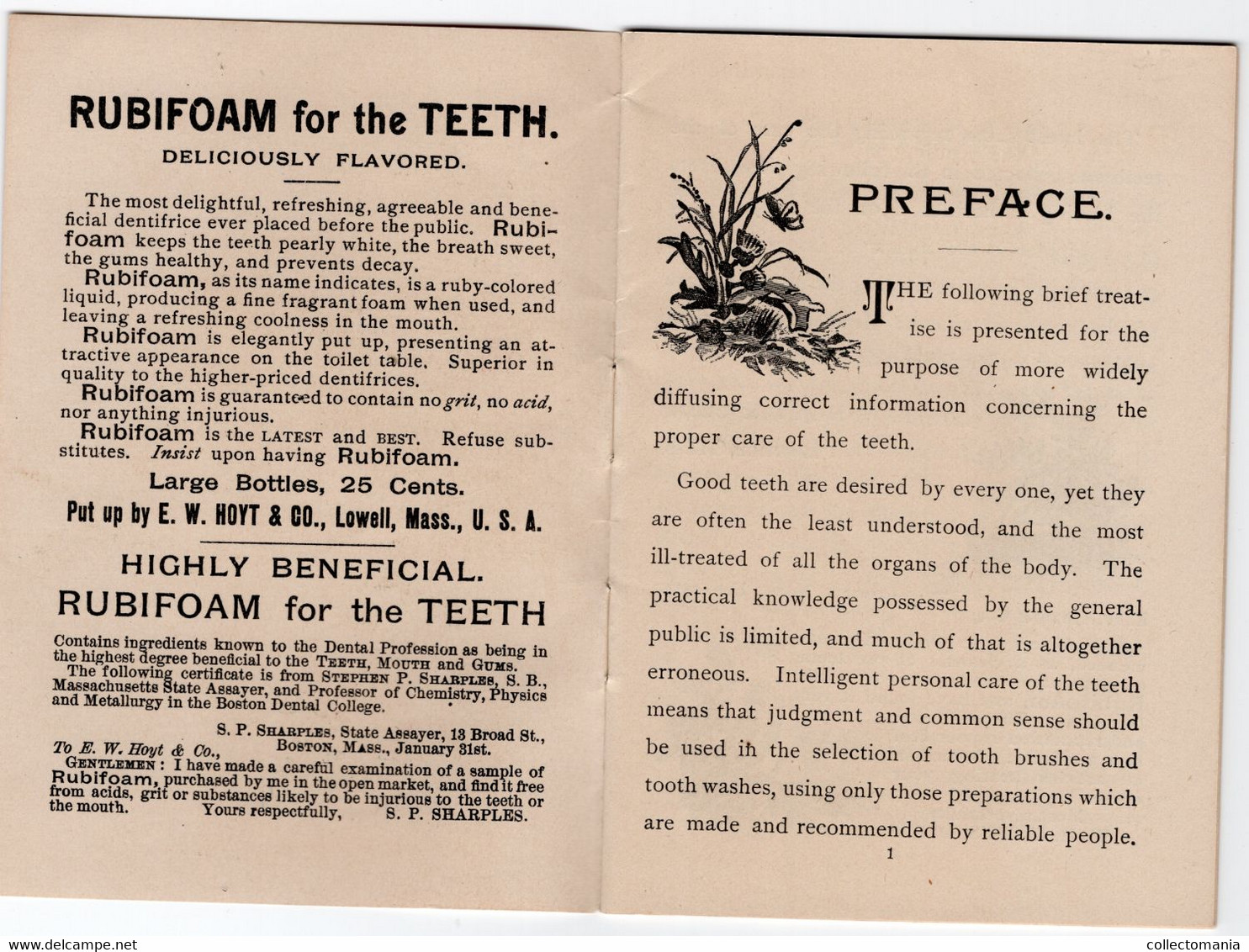 1 Carnet Booklet  The Teeth  E.W.Hoyt  & C° 1891 Rubifoam Tooth Powder Dentist Dentifrice - Vintage (until 1960)