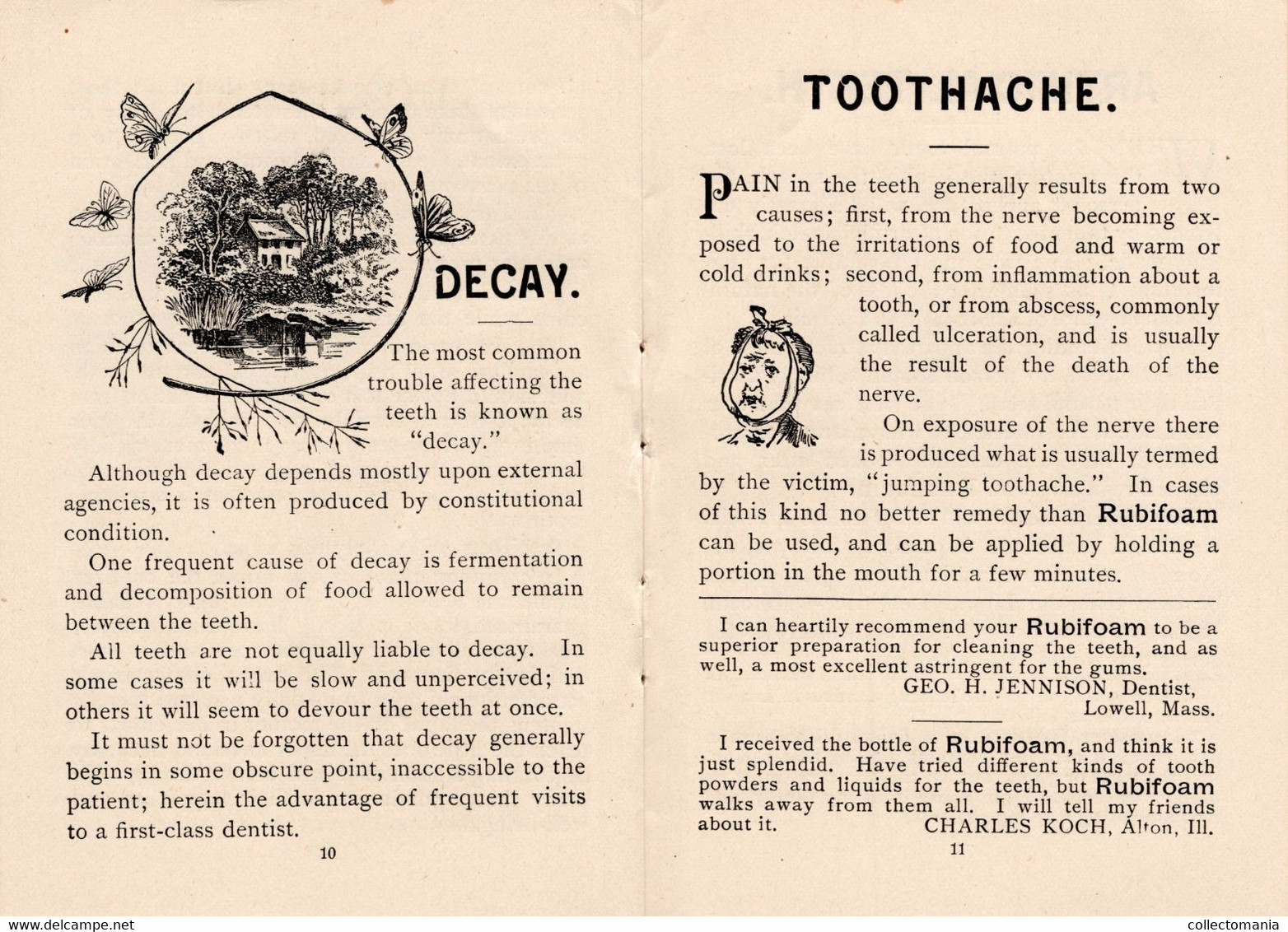 1 Carnet Booklet  The Teeth  E.W.Hoyt  & C° 1891 Rubifoam Tooth Powder Dentist Dentifrice