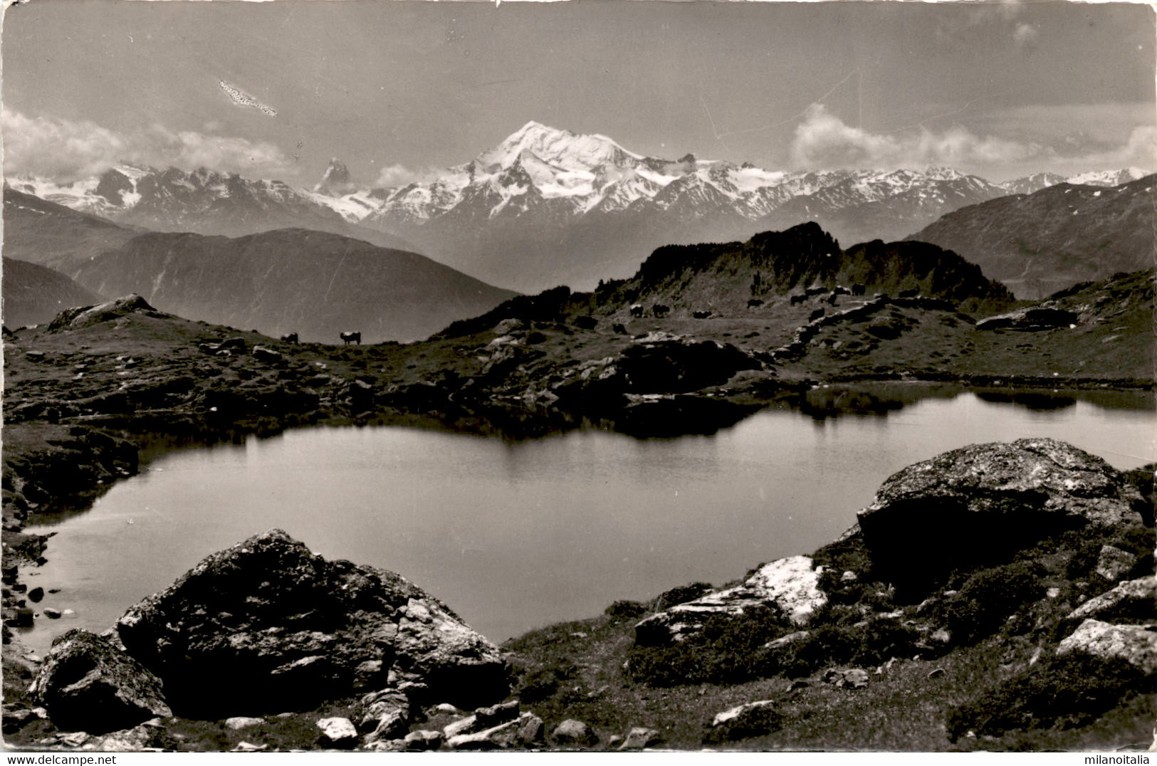 Riederalp Ob Mörel (4943) - Phot. Gyger - Riederalp