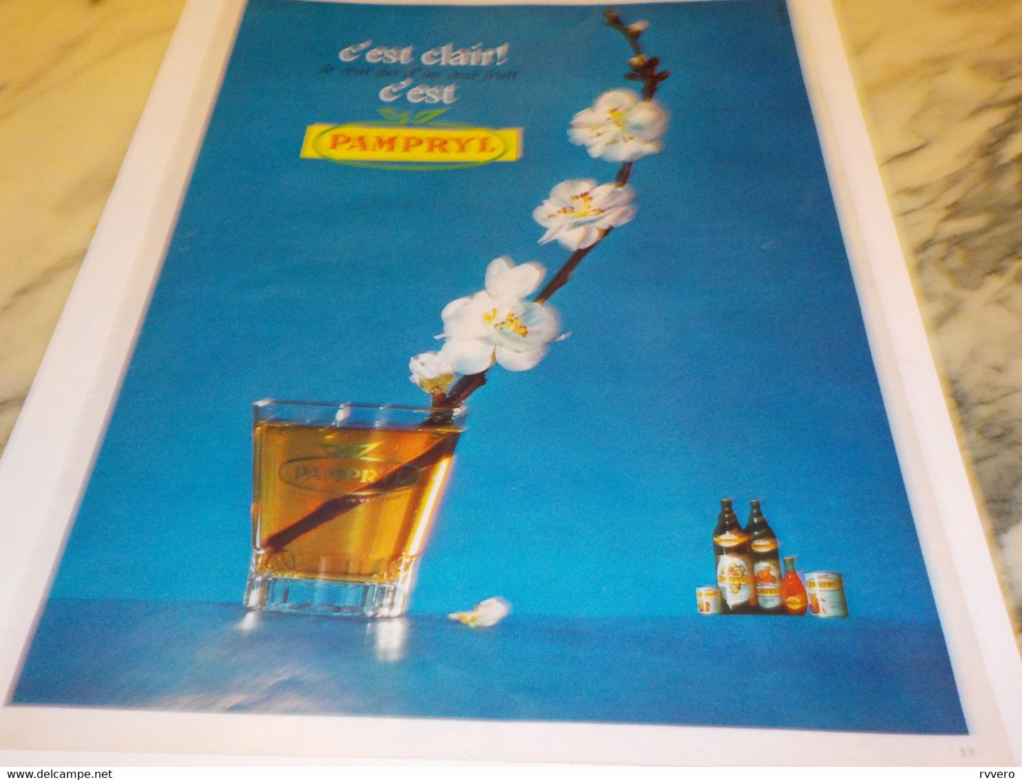 ANCIENNE PUBLICITE UN VRAI FRUIT JUS DE FRUIT PAMPRYL  1970 - Affiches