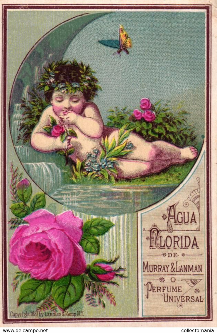 1 Card Agua Florida De Murray & Lanman Perfume Universal 1881 - Vintage (until 1960)