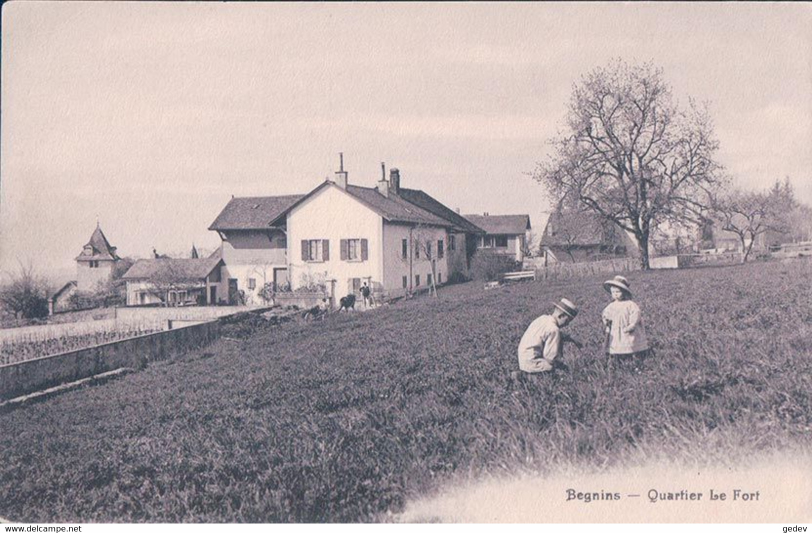 Begnins VD, Quartier Le Fort, Enfants Et Attelage (4602) - Begnins