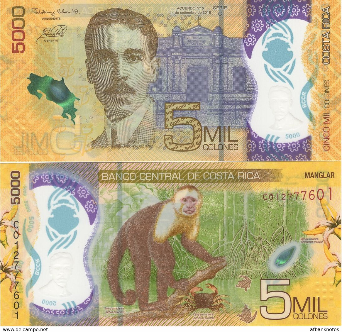 COSTA RICA        5000 Colones        P-New        L. 14.9.2018 (2020)        UNC - Costa Rica