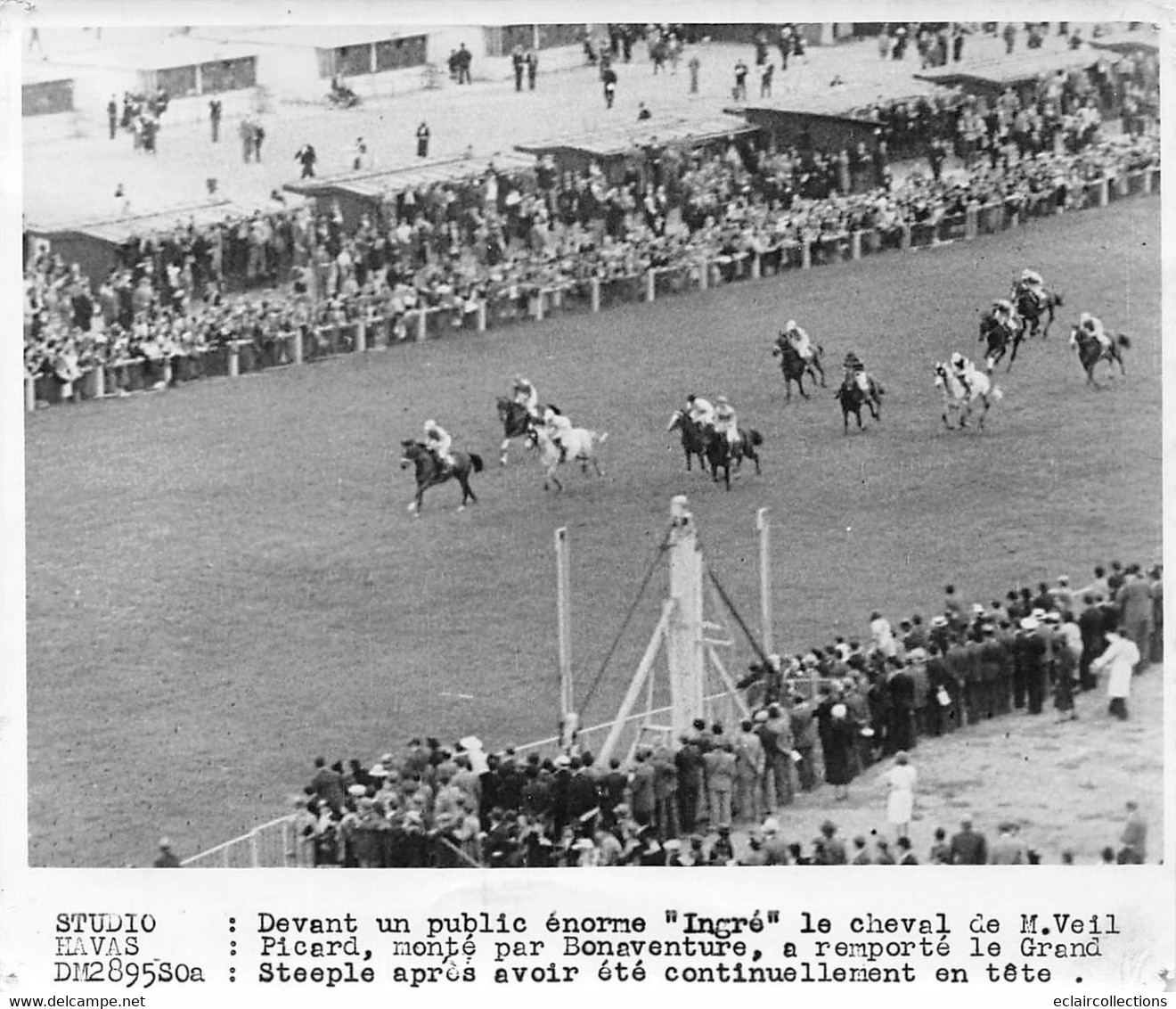 Photographie  Hippisme  Le Cheval Ingré Monté Par Bonaventure Grand Steeple    (voir Scan Et Commentaires) - Sporten