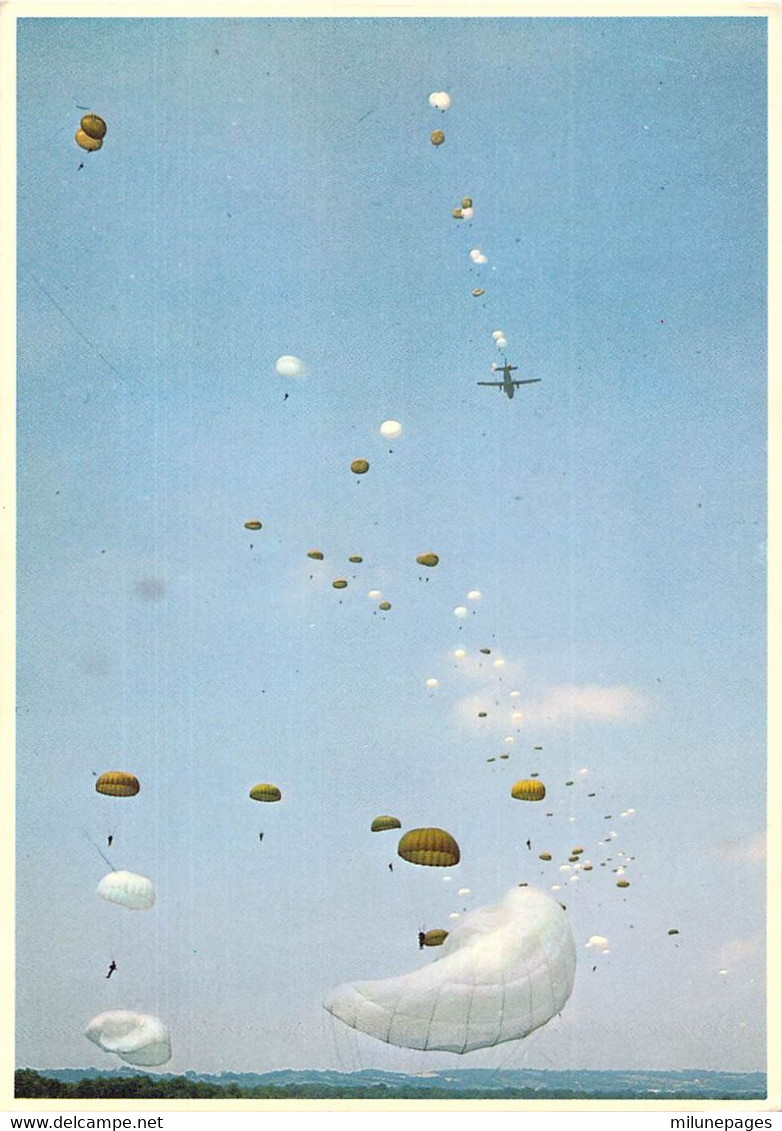 Largages Successifs De Parachutistes Depuis Des Transall C.160 Carte Grand Format 12.5x17.5 Segalen 44 - Parachutting