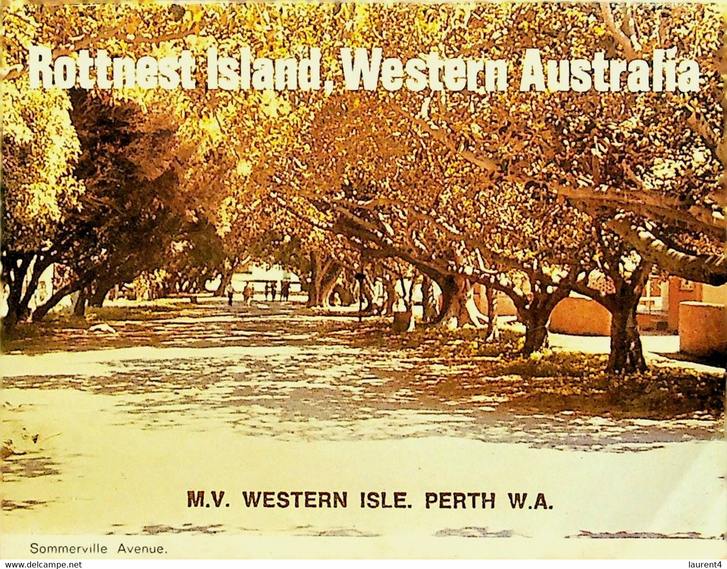 (Booklet 120) Australia - Older - WA - Rottnest Island (with Lighthouse, Quokka Etc) - Sonstige & Ohne Zuordnung