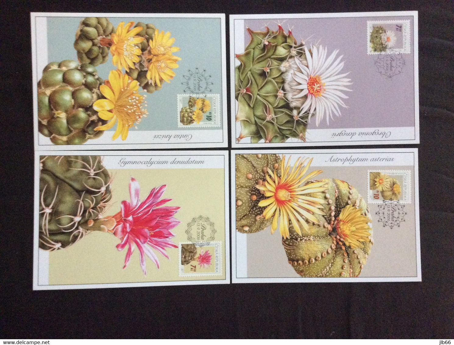 4 Cartes Maximum Fleurs 2006  : Cactus - FDC