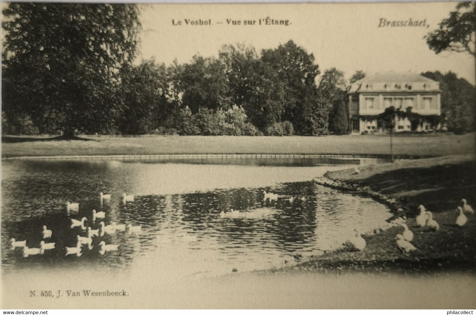 Brasschaat. - Brasschaet // Le Voshol - L'Etang Ca 1900 Uitg. J. Van Wesenbeek - Brasschaat