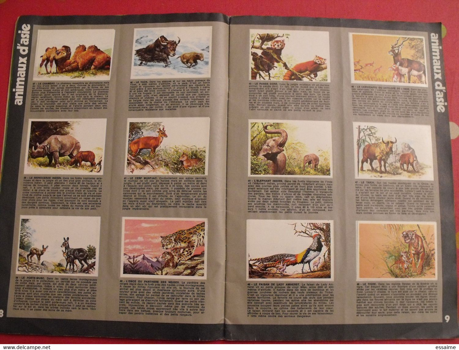 album d'images collées Rossel editions. bébés animaux. complet. vers 1970