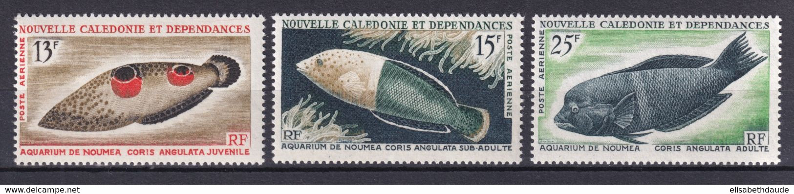 CALEDONIE - AERIENS YVERT N°81/83 ** MNH - COTE = 22.5 EUR. - POISSONS - Unused Stamps