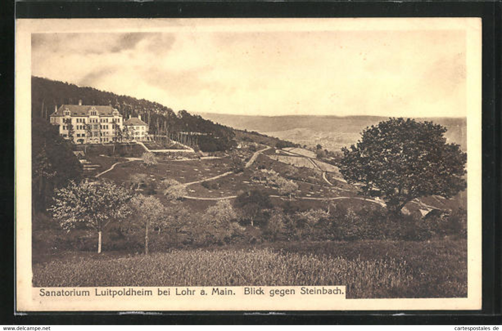 AK Lohr Am Main, Blick Gegen Steinbach, Am Sanatorium Luitpoldheim - Lohr