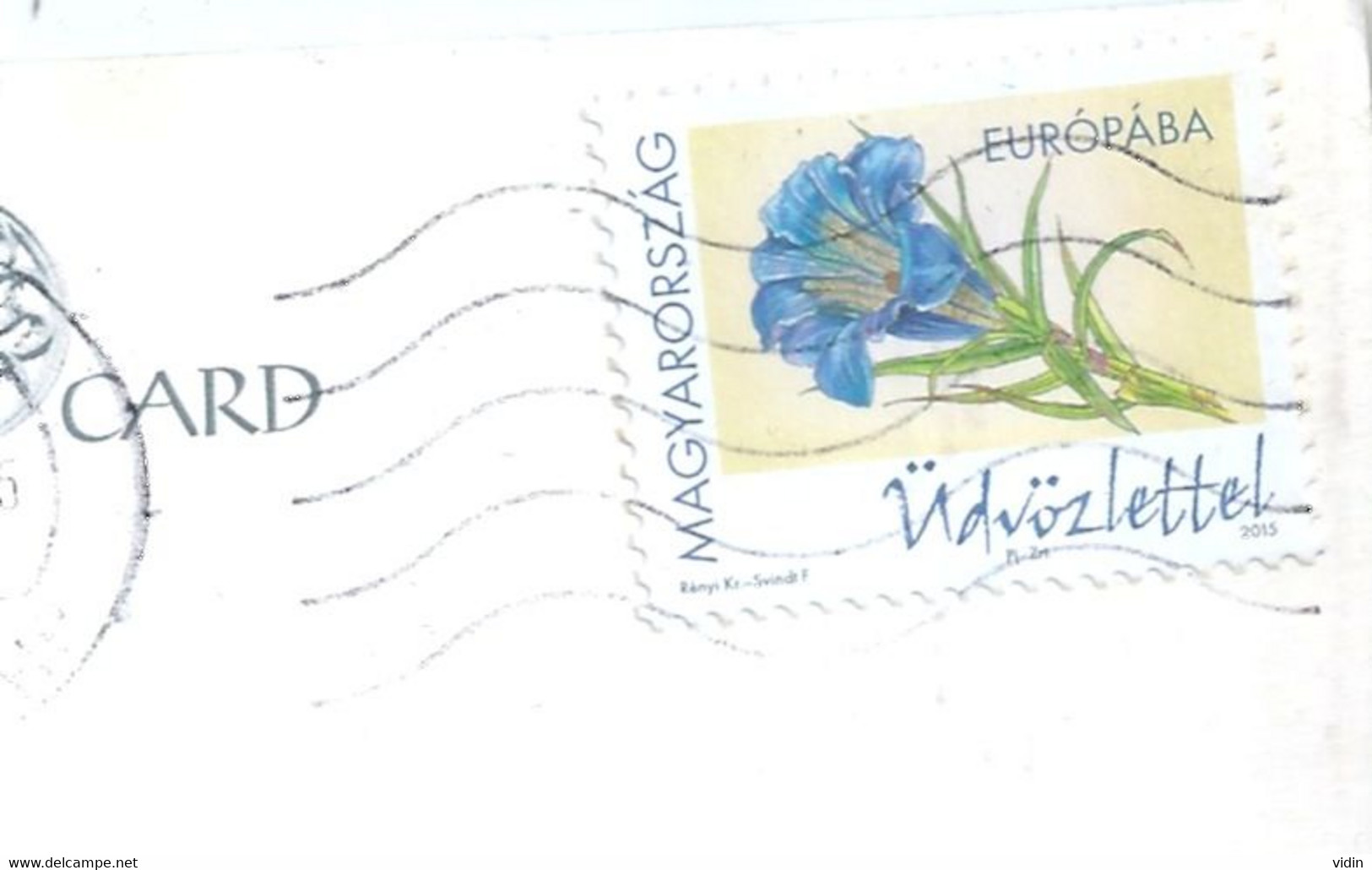 HONGRIE MAGYAR TP Fleur Sur Carte Postale Entière - Hojas Completas