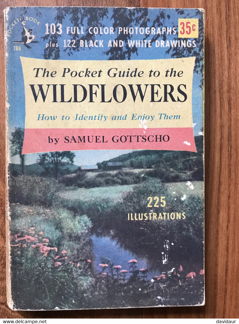 The Pocket Guide To The Wildflowers  - Samuel Gottscho - Other & Unclassified