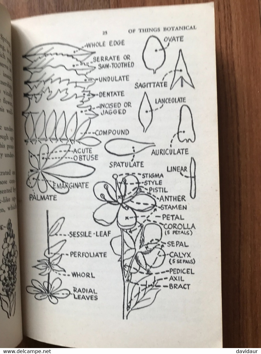 The pocket guide to the wildflowers  - Samuel Gottscho