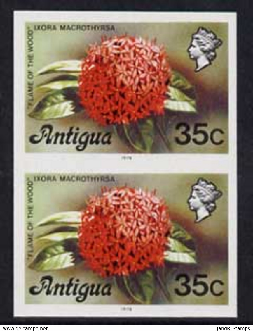 Antigua 1976 Flames Of The Wood 35c (with Imprint) U/m Imperforate Pair (as SG 480B) - Sonstige & Ohne Zuordnung