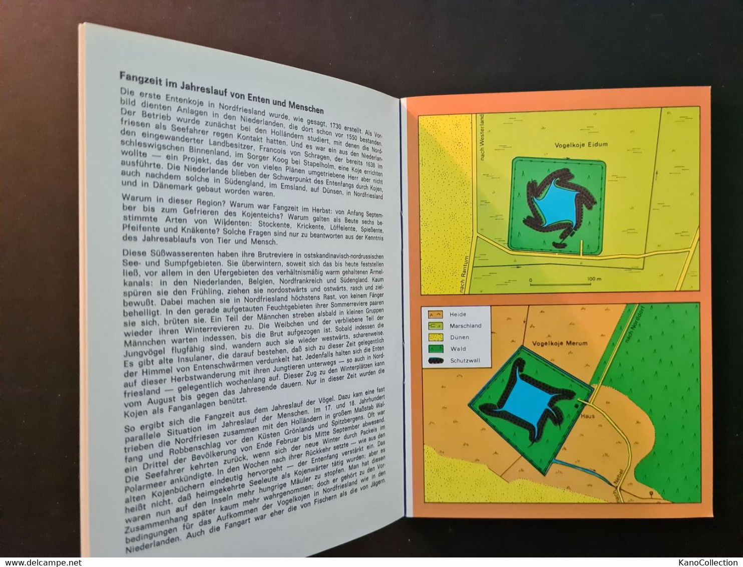 Vogelkojen In Nordfriesland, 32 Seiten, Zahlreiche Abbildungen, Hansen & Hansen 1978 - Schleswig-Holstein