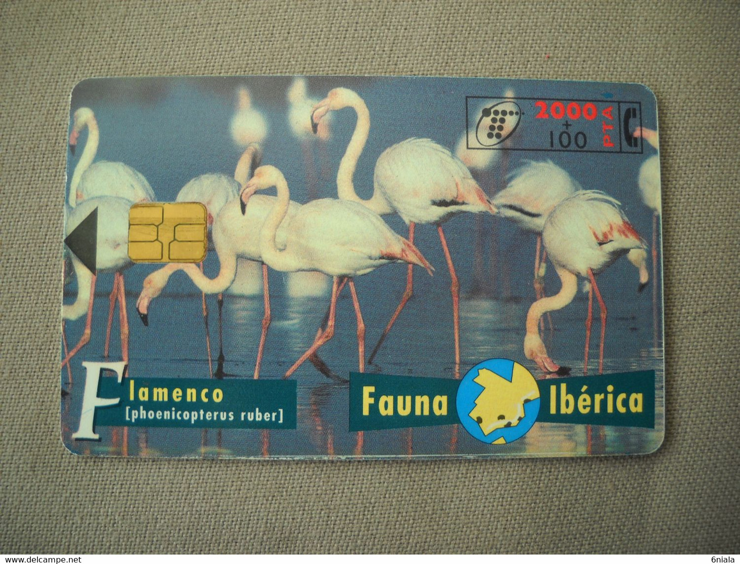 7063 Télécarte Collection FLAMANDS ROSES  Carte Espagne  ( Recto Verso)  Carte Téléphonique - Other & Unclassified