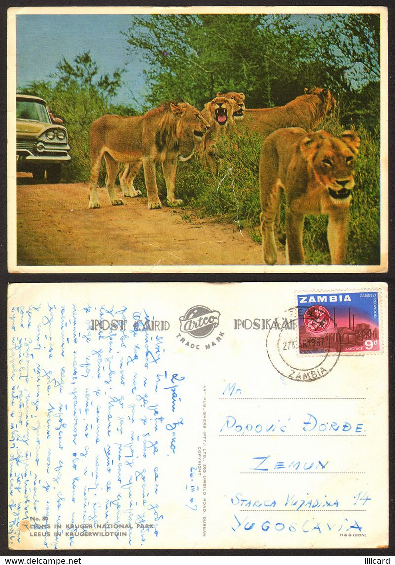 Zambia Lions Kruger National Park Nice Stamp   #29052 - Zambia