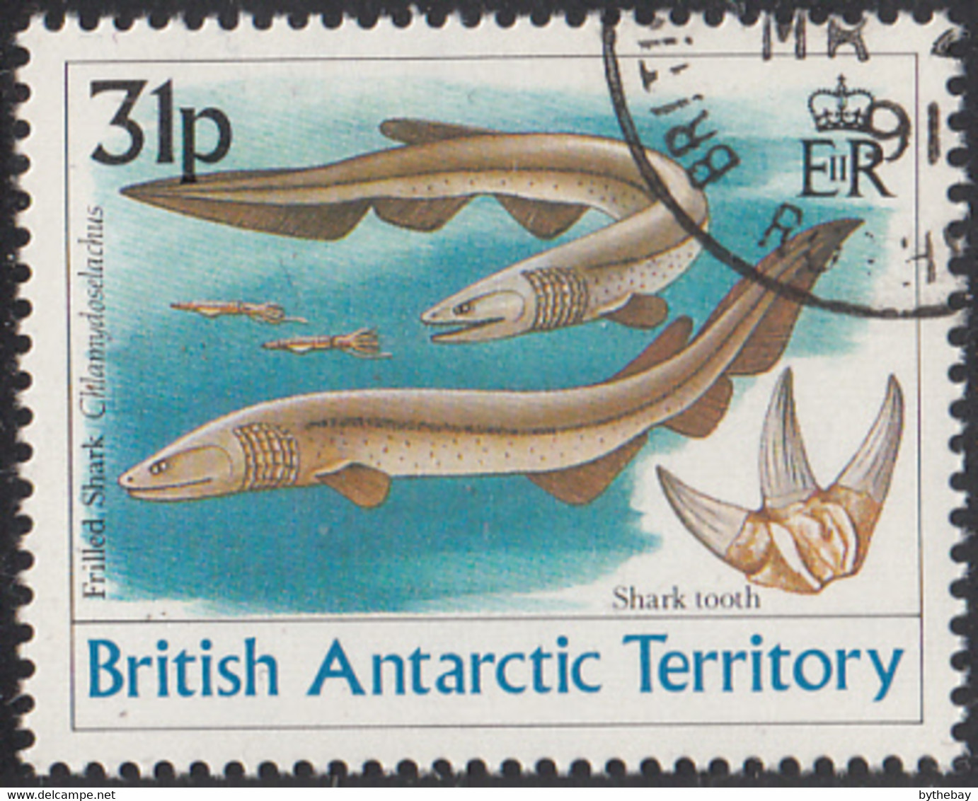British Antarctic Territory 1991 Used Sc #174 31p Frilled Shark - Gebraucht