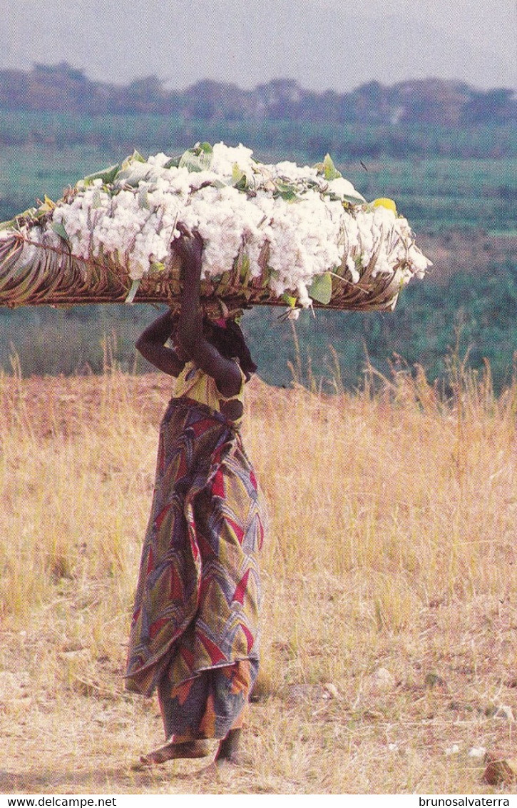 BURUNDI - Transport De Coton - Burundi