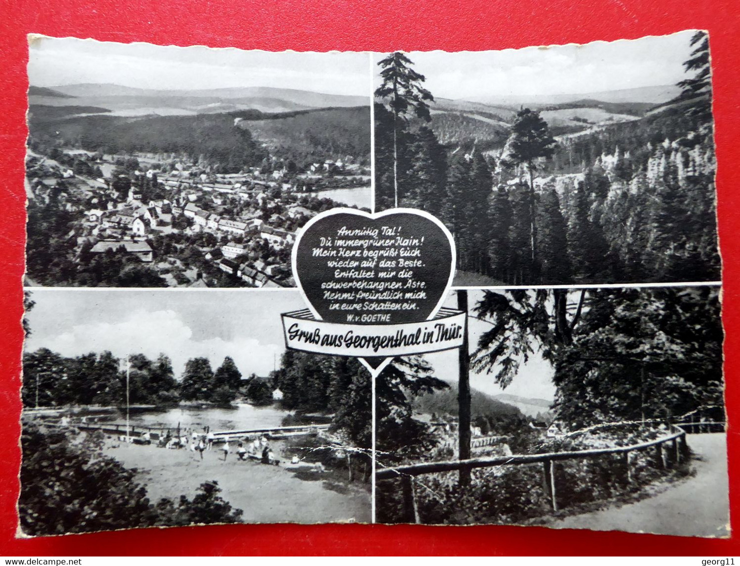 Georgenthal - 1962 - Echt Foto - IGoethe Spruch - Thüringer Wald - Thüringen - Georgenthal