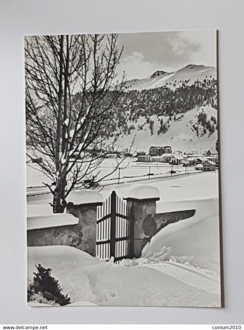 Schweiz. Engadin, Celerina (nicht Gelaufen; Ca. 1970?), #H41 - Celerina/Schlarigna