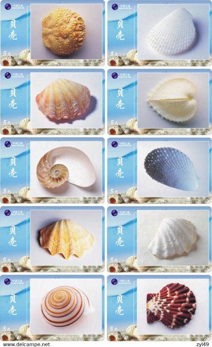 S05091 China phone cards Shell 106pcs