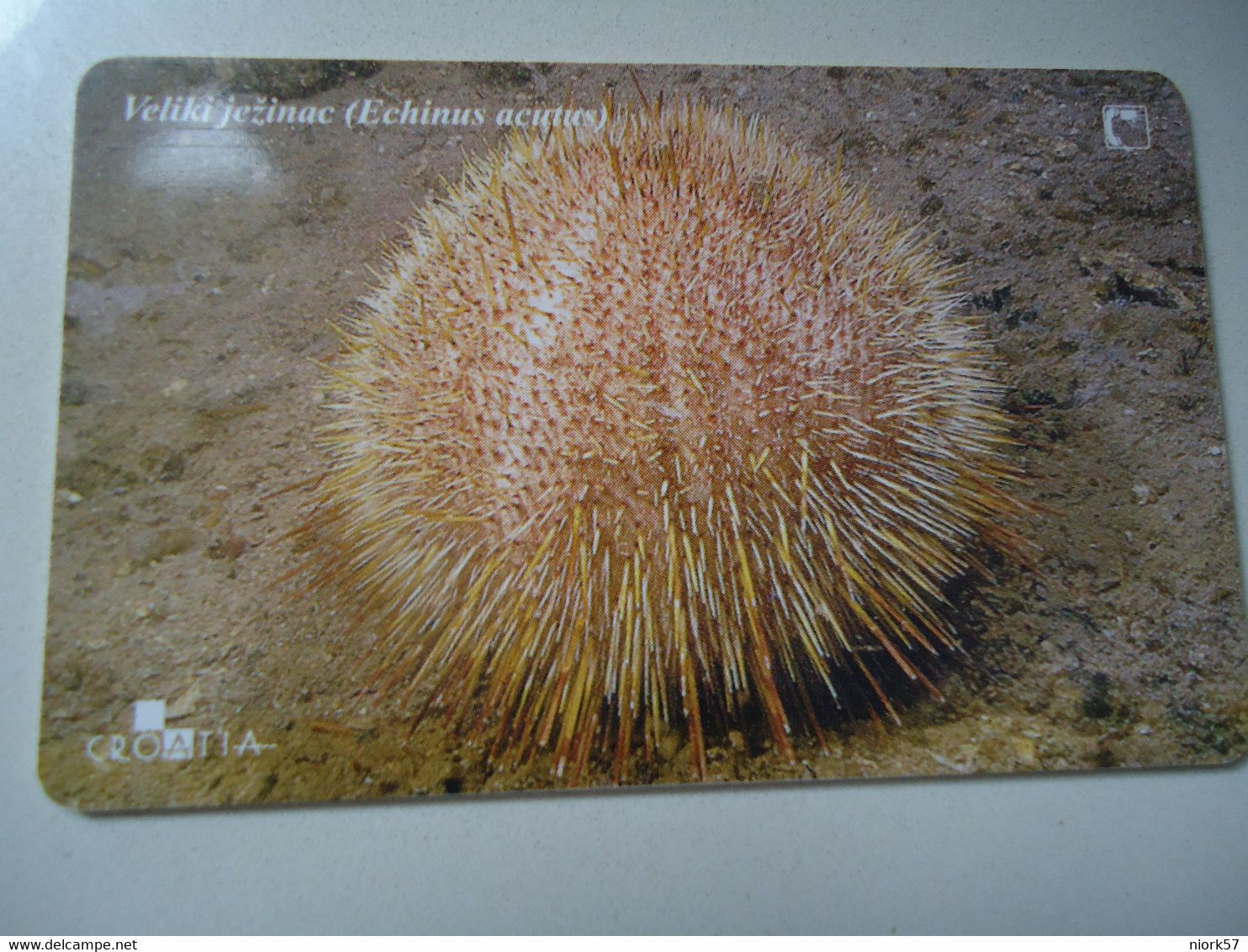 CROATIA USED CARDS MARINE LIFE  FISHES - Poissons