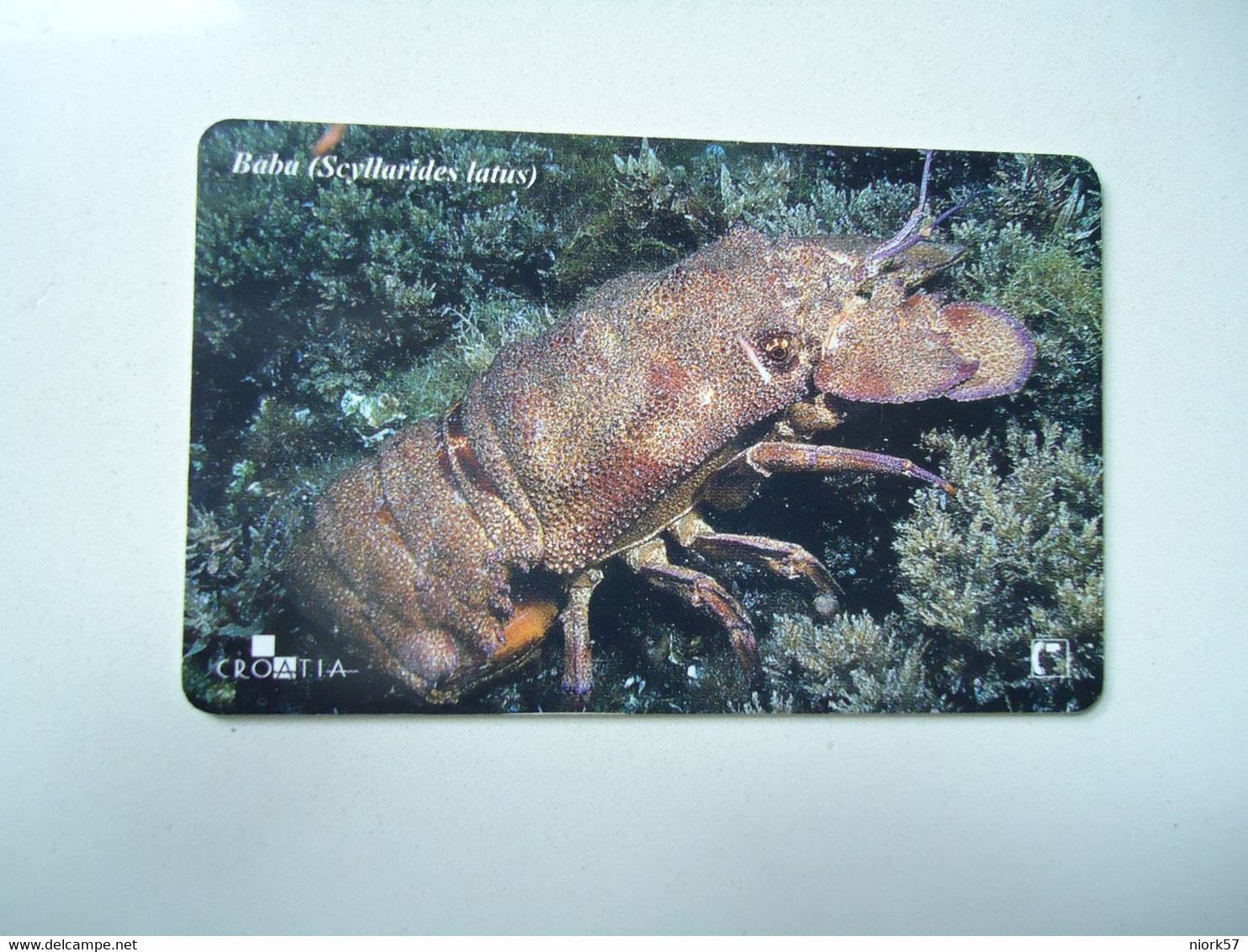 CROATIA USED CARDS MARINE LIFE  FISHES - Poissons