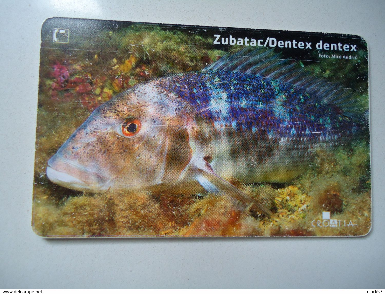 CROATIA USED CARDS MARINE LIFE  FISHES - Poissons