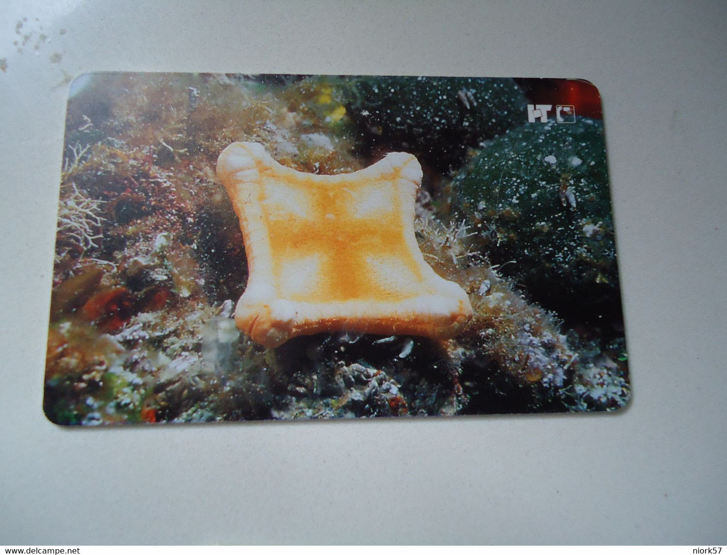 CROATIA USED CARDS MARINE LIFE  FISHES - Poissons