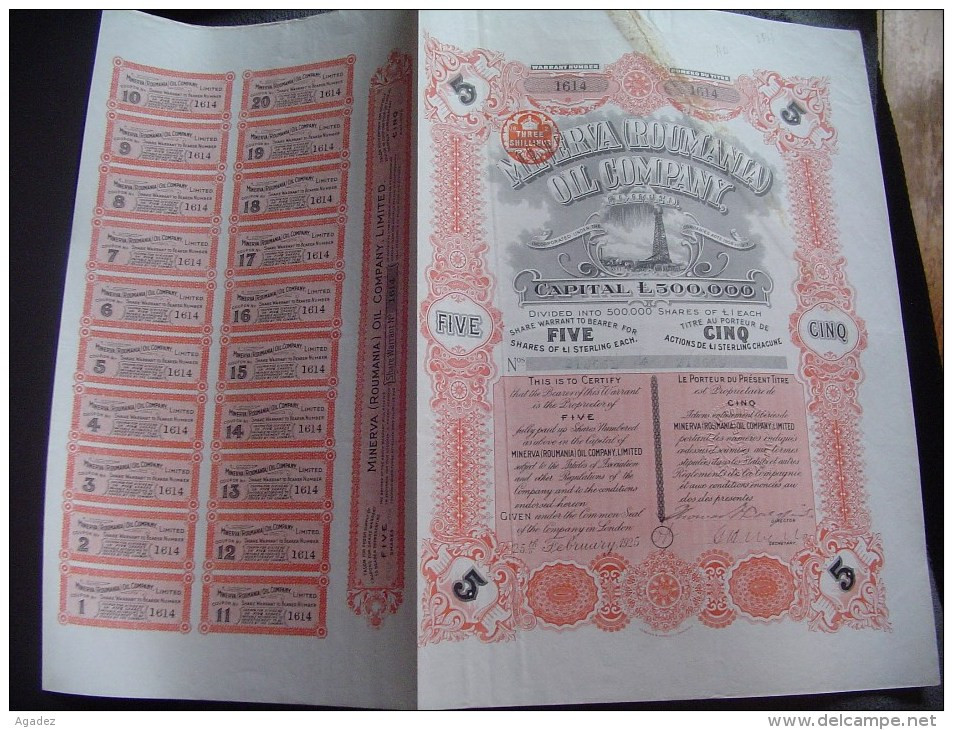 Titre De 5 Actions " Minerva ( Roumania ) Oil Company "  London 1925 Avec Tous Les Coupons. - Oil