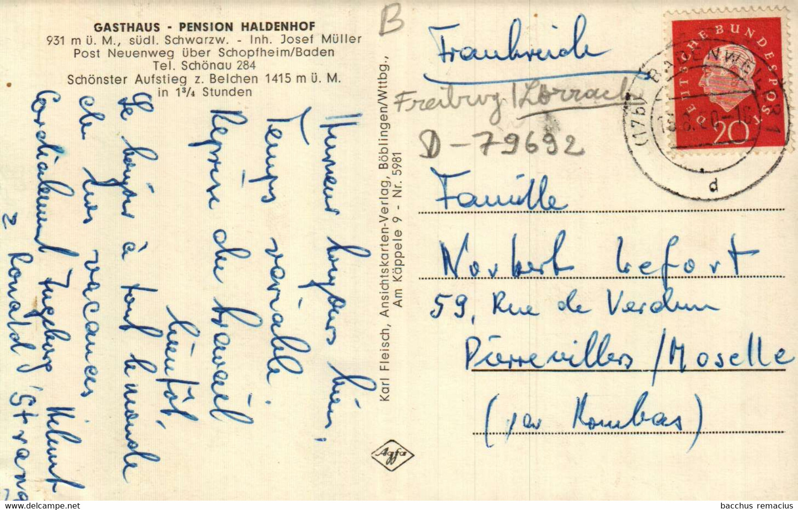 NEUENWEG über SCHOPFHEIM - Gasthaus - Pension Haldenhof Inh. Josef Müller - Schopfheim