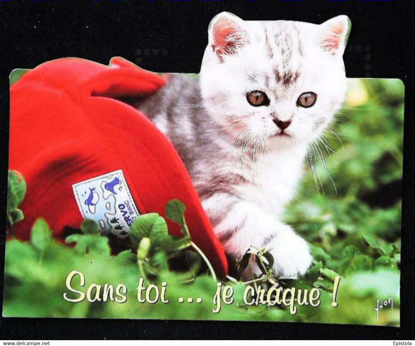 ►   Decoupis Moderne Français   - Chat Dans  Casquette   -   French Cat   Imp. Paris - Dieren